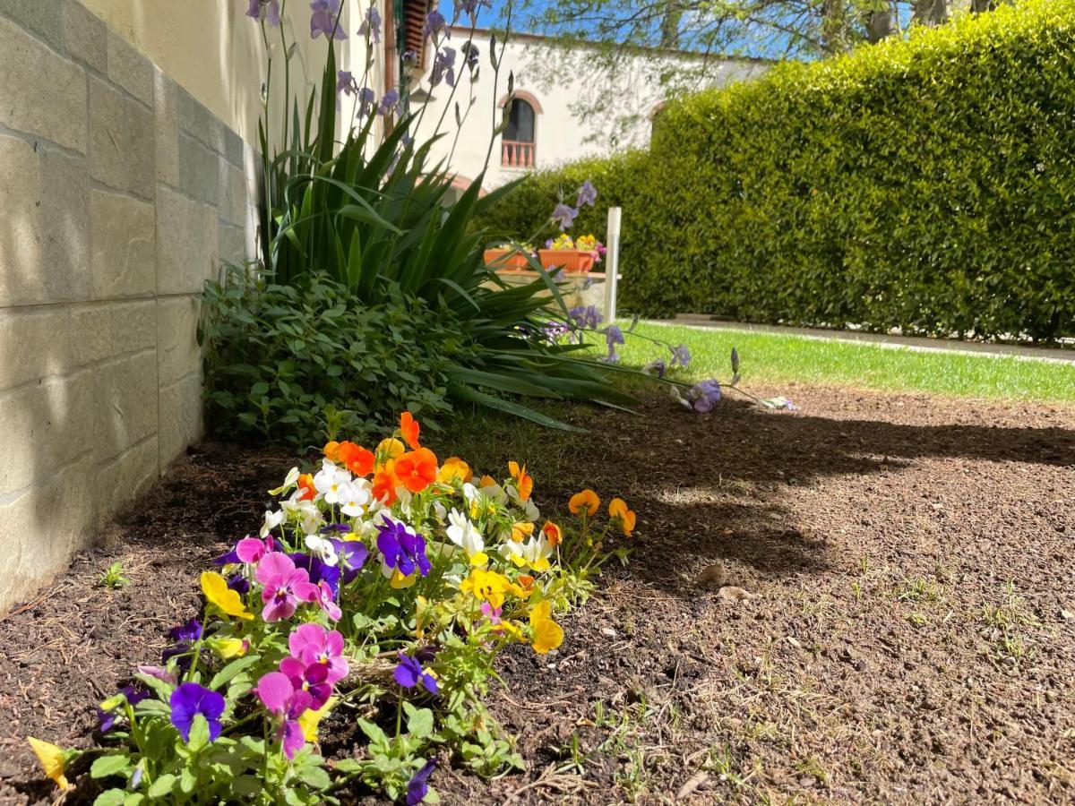 Dalu Florence Apartment Davide - Private Car Park 15 Minutes To The City Center מראה חיצוני תמונה